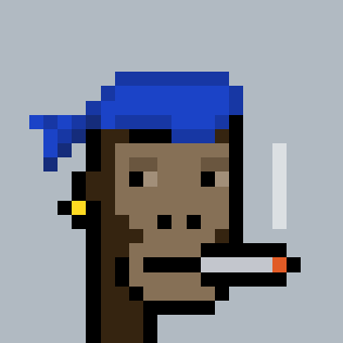 DePunks Supporter