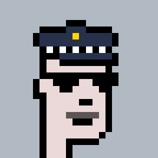 DePunks Supporter