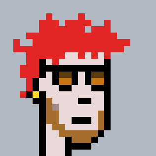 DePunks Supporter